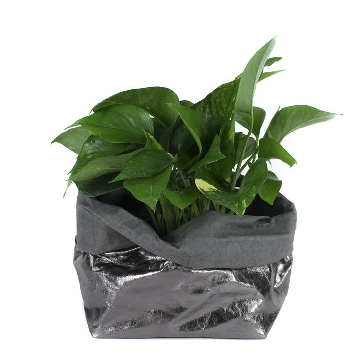 PAPER BAG METALLIC LARGE PLUS DARK GREY/PELTRO (SOLANGE VORRAT REICHT)