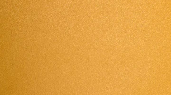 VORBESTELLEN: CA. ENDE SEPTEMBER LIEFERBAR: LUNA PURSE XSMALL CURRY